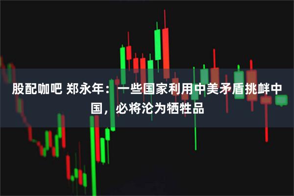 股配咖吧 郑永年：一些国家利用中美矛盾挑衅中国，必将沦为牺牲品